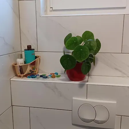 M&s Paradise Bilice, Sibenik * Vrulje (Kornati)